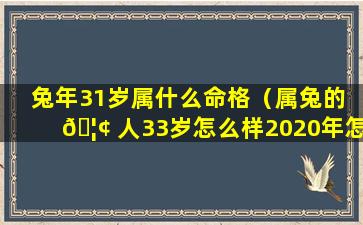 兔年31岁属什么命格（属兔的 🦢 人33岁怎么样2020年怎 🦄 么样）